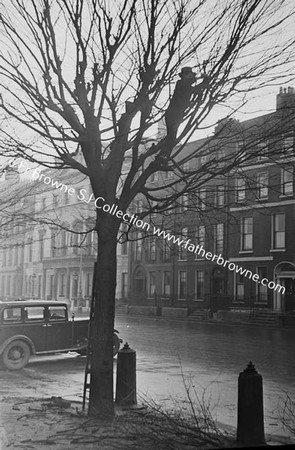 PRUNING TREES IN ST STEPHEN'S GREEN